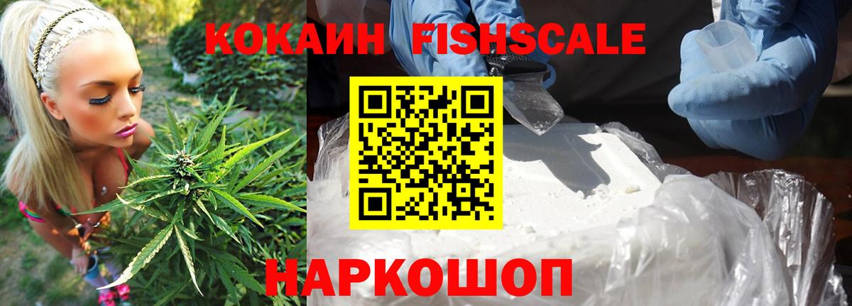 COCAIN Fish Scale Ачхой-Мартан