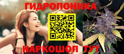 прущие крисы Пушкино