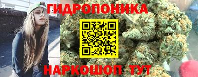спиды Пугачёв