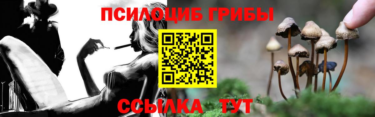 Псилоцибиновые грибы Cubensis Ачхой-Мартан